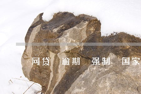网贷 逾期 强制 国家 网贷 逾期 强制 国家